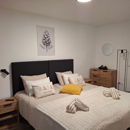 Apartmani Sunce Stara Planina Crni Vrh エクステリア 写真