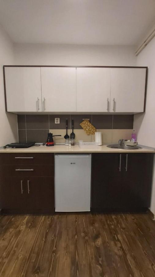 Apartmani Sunce Stara Planina Crni Vrh エクステリア 写真