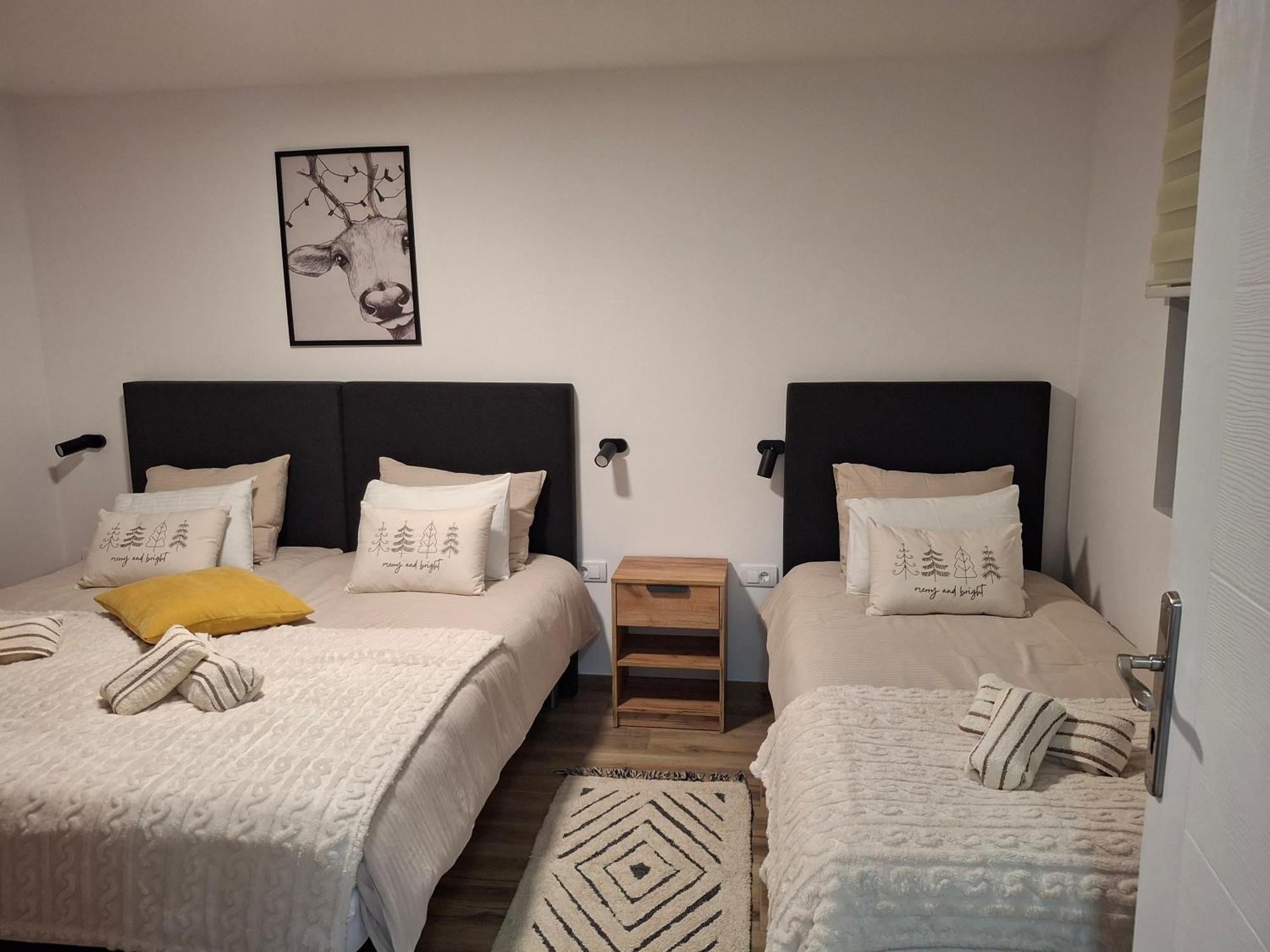 Apartmani Sunce Stara Planina Crni Vrh エクステリア 写真